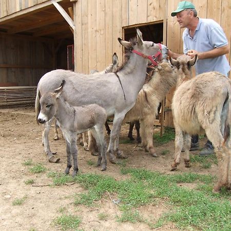 Tourist Farm Ob Izviru Krupe Villa Semic Bagian luar foto